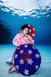 Wagasa - Umbrella in japanese by Kelvin H.y. Tan 
